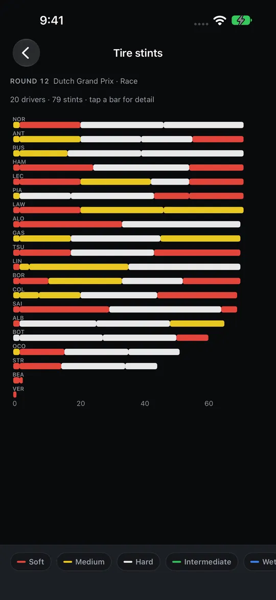 Tire stints: one bar per driver across the race distance, split into colored stints for each compound.